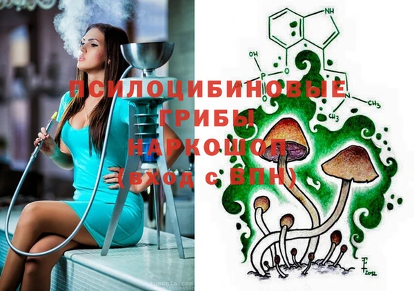 спайс Абаза