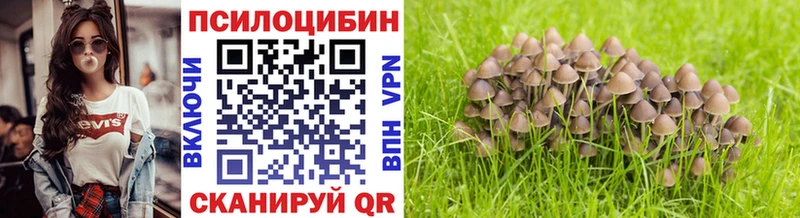 Галлюциногенные грибы мицелий  Топки 